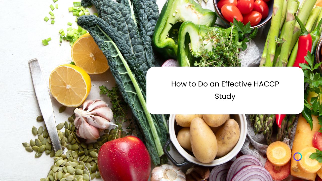 How to Do an Effective HACCP Study