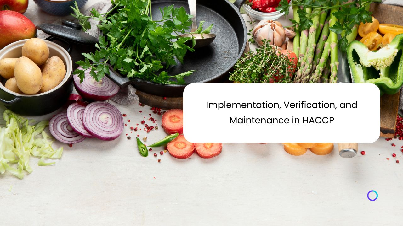 Implementation, Verification, and Maintenance in HACCP